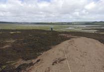 Nature Diary Nigel Mortimer | Surveying the Saltstone
